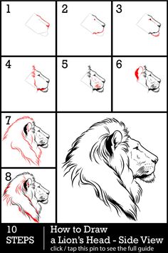 how to draw a lion's head - side view with step by step instructions