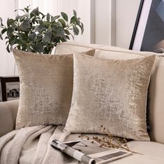 two pillows sitting on top of a couch next to a potted plant