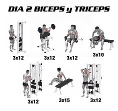 an image of a man doing squats on a bench with the text, dia 2 biceps y triceps