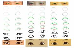 various types of eyes with different shapes and sizes, including the upper half of an eye