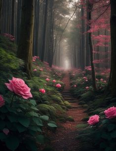 a path in the middle of a forest with pink flowers