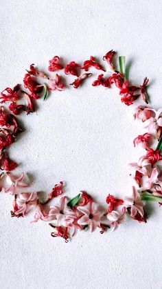 pink and white flowers arranged in a circle