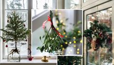 christmas wreaths are hanging on the windowsill and in front of them is an evergreen tree