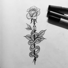 a drawing of a rose with a snake on it and two pens next to it