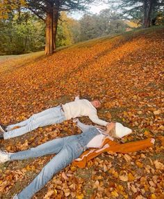 a person laying on the ground with fallen leaves in front of them and trees behind