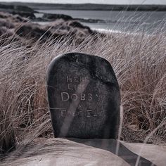 an old tombstone sitting in the middle of tall grass next to a body of water