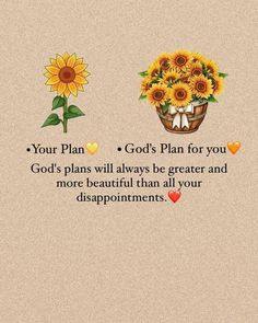 sunflowers in a basket with the words, your plan god's plan for you