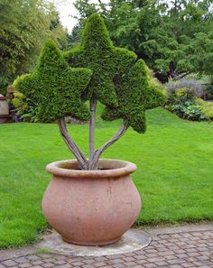 a large potted plant sitting on top of a brick walkway next to a lush green park