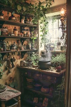 an old fashioned kitchen with lots of pots and pans on the wall, potting plants hanging over the stove