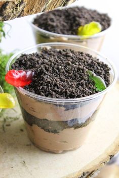 two cups filled with dirt sitting on top of a wooden table