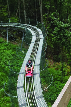 a person on a roller coaster in the woods