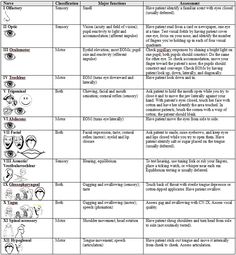 a table with different types of eyeballs and their corresponding features, including the eyes