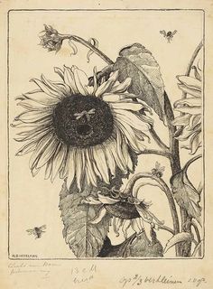 an old drawing of a sunflower with bees on it's back and wings