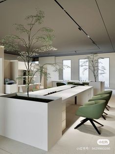 an office with two desks, chairs and a tree in the middle of it