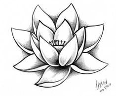 a drawing of a lotus flower