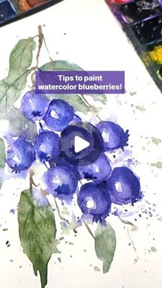 watercolor blueberries are being used to paint