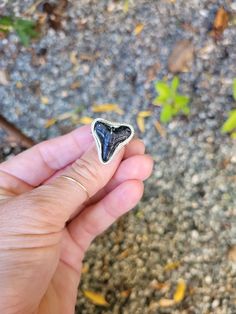 Ethically sourced shark tooth ring  This is a made to order ring just for YOU!   These are  preview photos of unfinished so I can make the ring shank in your size. The bezel around the tooth still needs to be fine tuned and polished. Because these are made to order sometimes they can break in the process!!  If this happens i will reach out to you. I will happily remake with other stones and teeth or I will refund you   Made in sterling silver.   Message me if you have questions!! Shark Tooth Ring, Tooth Ring, Silver Shark, Ring Shank, Shark Tooth, Custom Ring, Shark Teeth, Break In, Ring Sterling Silver