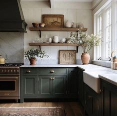 a kitchen with dark green cabinets and white counter tops is pictured in this image, there are plants on the shelves above the stove