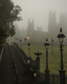 a foggy day in front of a castle with stairs leading up to the top