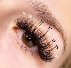 Eyelash Extensions Styles Mapping, Whispy Lashes Extensions, Wispy Eyelash Extensions Map, Whispy Lashes Extensions Map, Wispy Hybrid Lash Extensions Mapping, Wispy Lash Extensions Mapping, Eye Lash Extensions Styles, Wispy Volume Lash Extensions