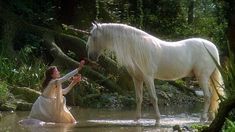 a white horse standing next to a woman in water