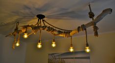 a light fixture made out of driftwood and bulbs