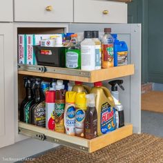 the kitchen cabinet is filled with cleaning products