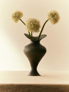 three white flowers in a black vase on a table