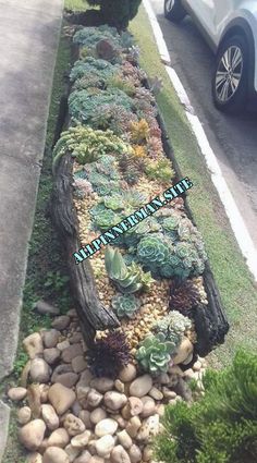 a long wooden bench covered in lots of succulents next to a road