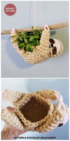 a crocheted planter hanging from a wooden branch with succulents in it