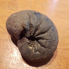 a piece of rock that has been cut in half and is sitting on a wooden table