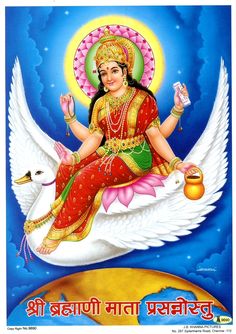 the hindu goddess sitting on top of a swan