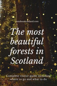 the most beautiful forests in scotland complete guide including where to go and what to do