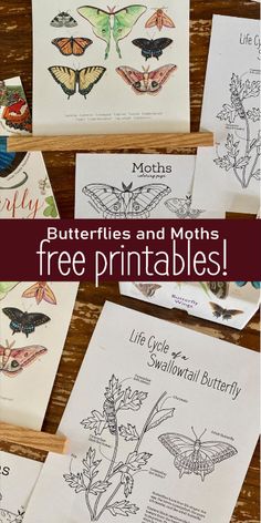 butterflies and moths free printables for mother's day or any special occasion