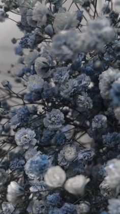 blue and white flowers are shown in this image