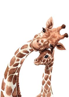 two giraffes standing next to each other in front of a white background