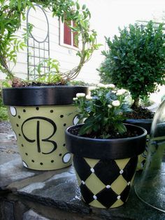 three potted plants with the letter b painted on them