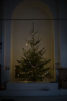 a lit up christmas tree sitting in the middle of a room