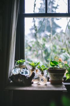 some plants are sitting on a window sill