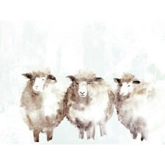 three sheep standing next to each other in the snow