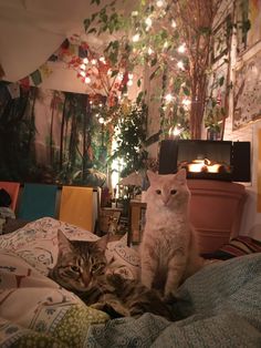 two cats sitting on top of a bed next to each other