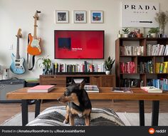 a dog is sitting on the floor in front of a table with books and guitars