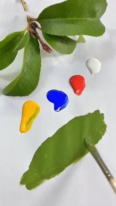 four different colors of paint sitting on top of a green leafy branch next to a brush