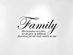 family like branches on a tree we all grow in different directions, yet roots remain as one