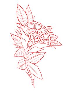 Blackwork Flowers, Tattoo Stencil Designs, Paper Tattoo, Tattoos Masculinas, Traditional Flowers, Traditional Flower, Back Tattoos For Guys