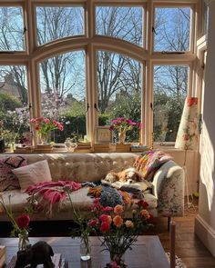 a living room filled with furniture and lots of windows