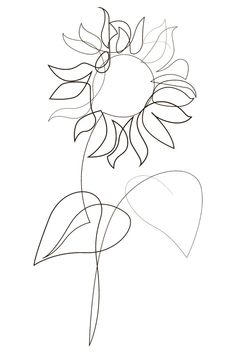 a drawing of a sunflower on a white background