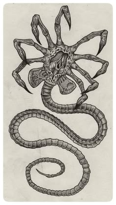 a black and white drawing of a snake with its head in the shape of an octopus