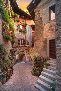 an alley way with flowers and plants growing on the side of it, surrounded by stone buildings