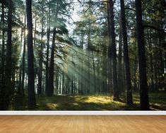 the sun shines through the trees in this forest wallpaper mural set on a wood floor